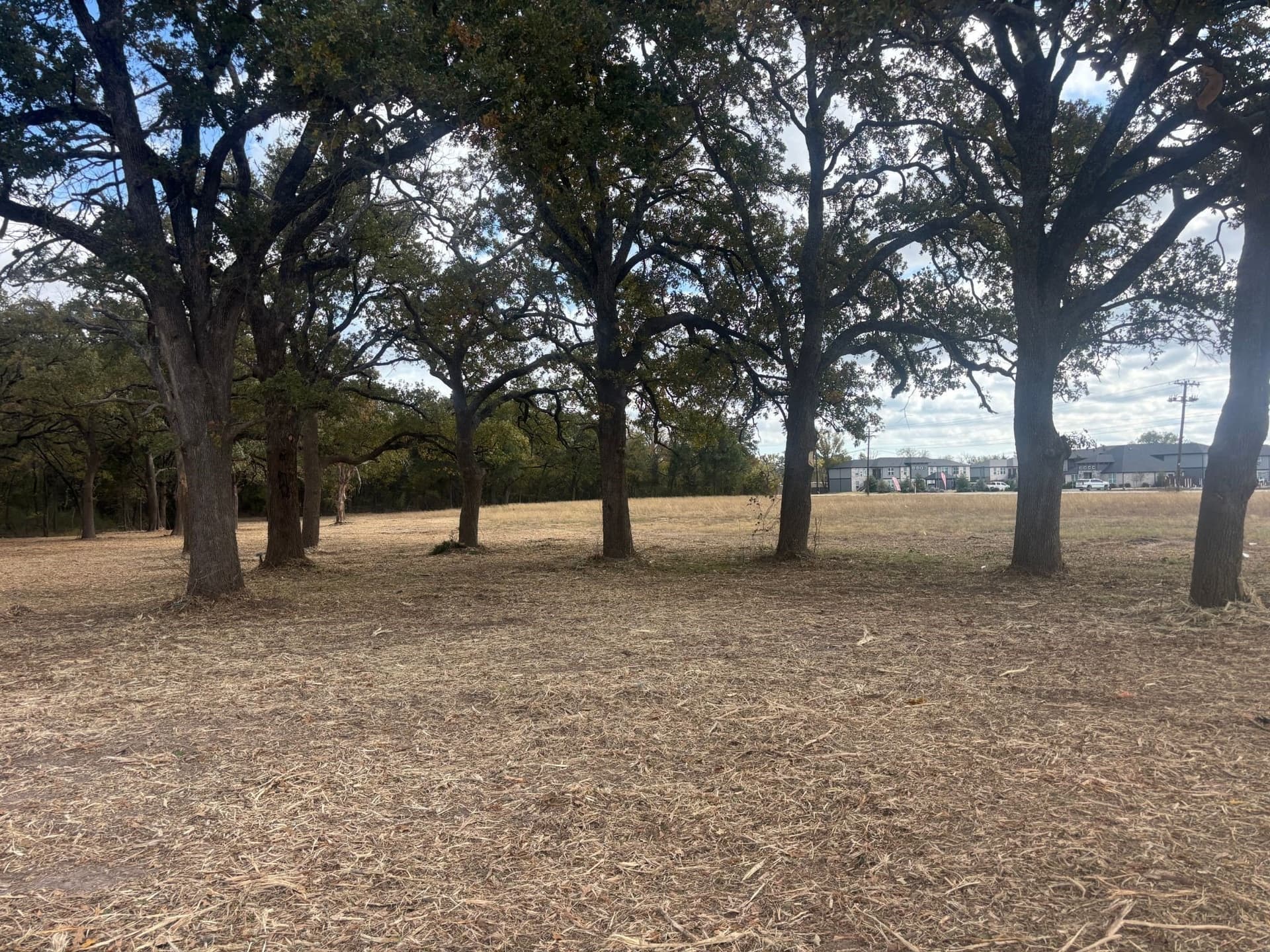 5.2 acres in Hunt County - photo 13