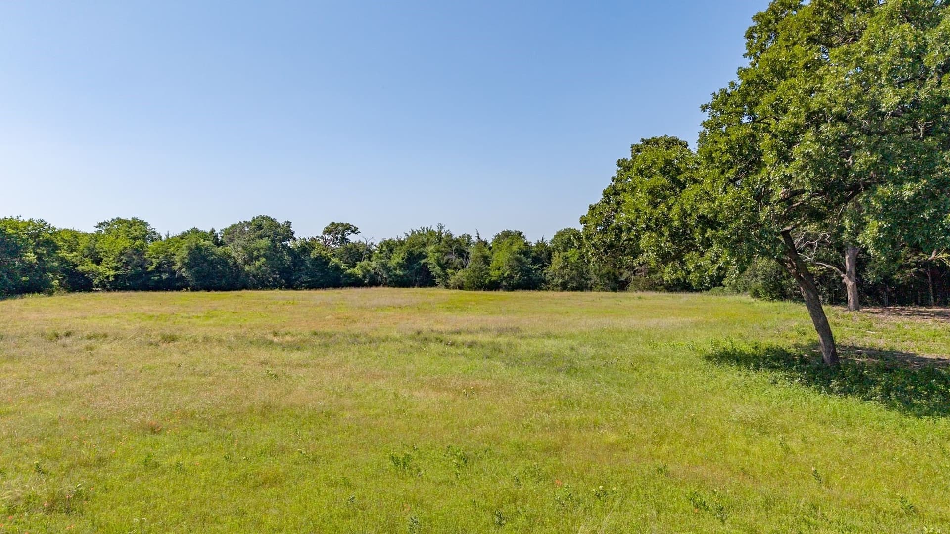 5.2 acres in Hunt County - photo 6