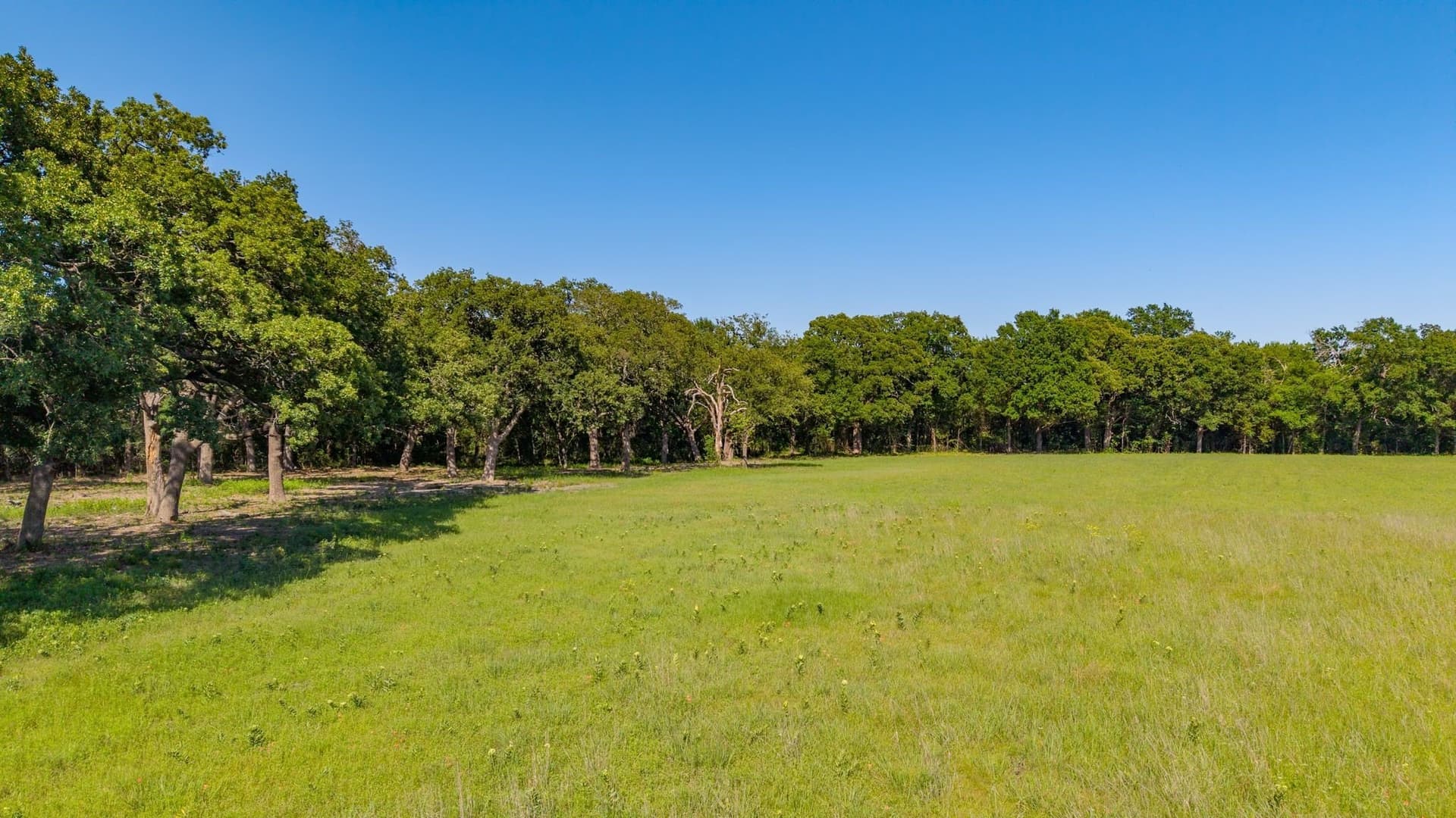 5.2 acres in Hunt County - photo 8