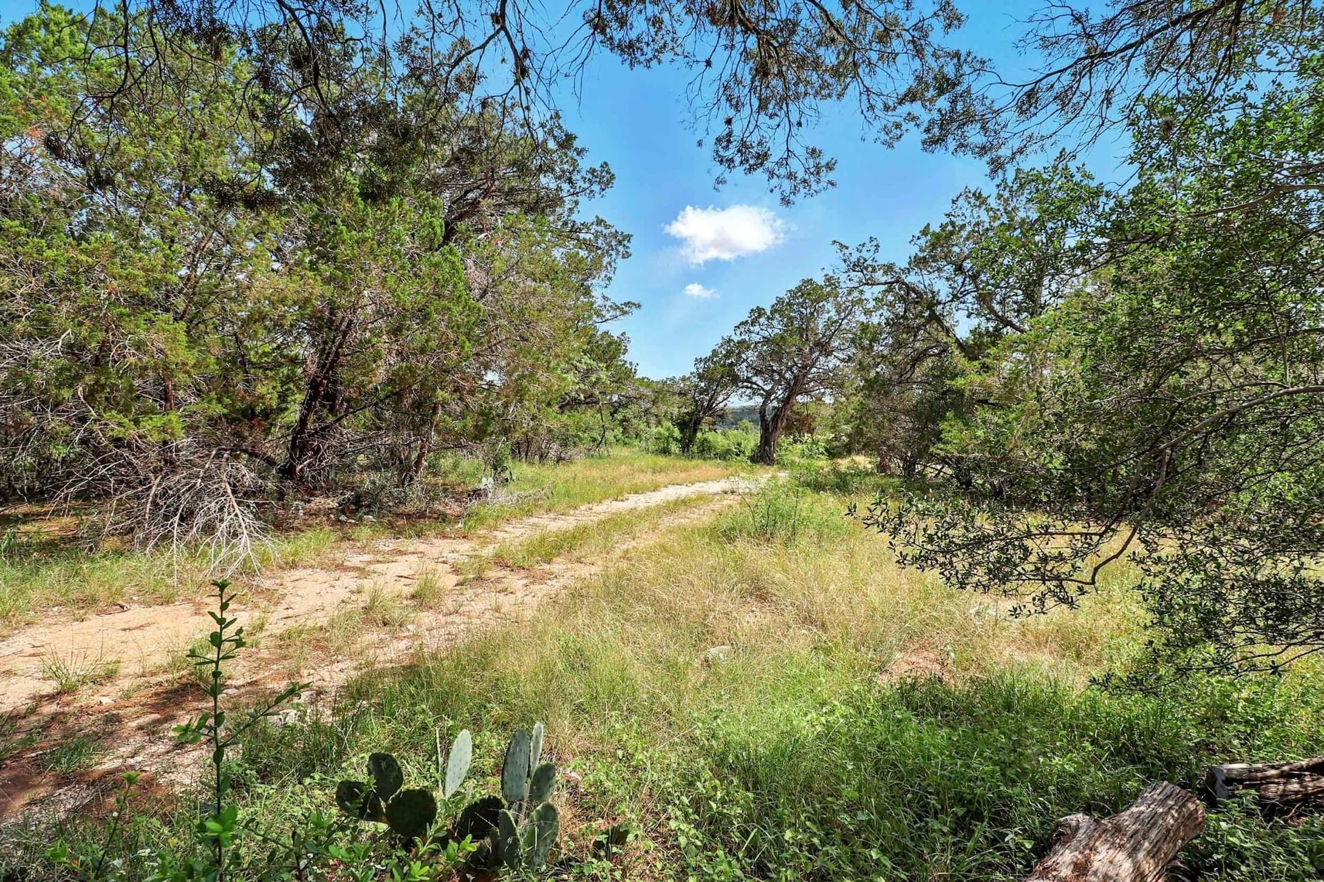 1.49 acres in Travis County - photo 18