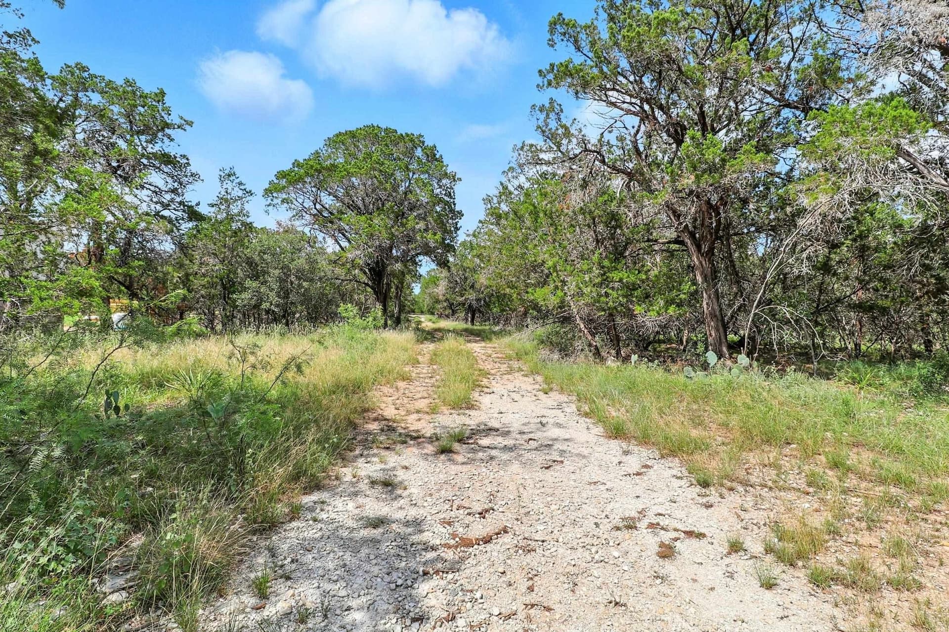 1.49 acres in Travis County - photo 25