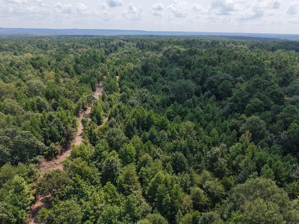 12 acres in ANDERSON County - photo 23