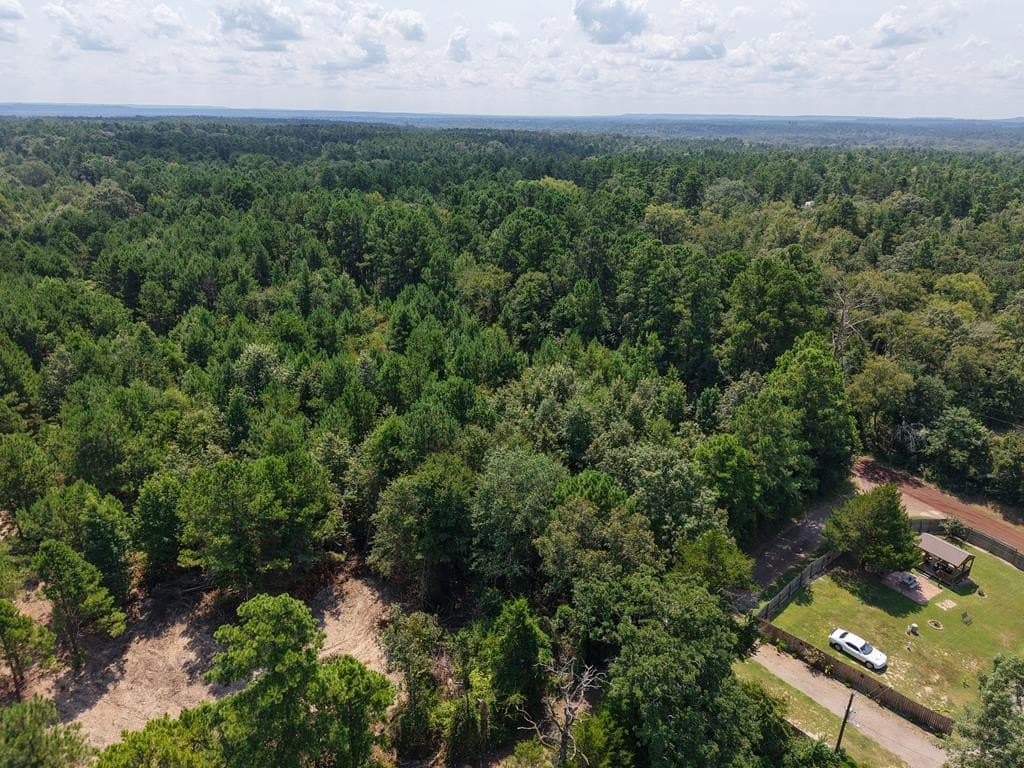 12 acres in ANDERSON County - photo 15