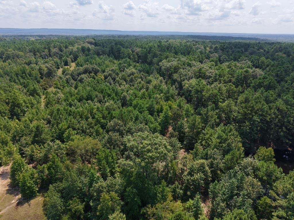 12 acres in ANDERSON County - photo 24