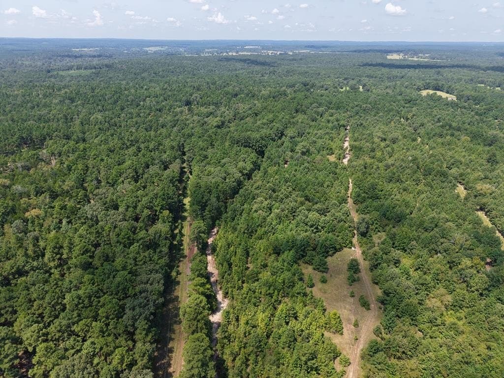 12 acres in ANDERSON County - photo 11