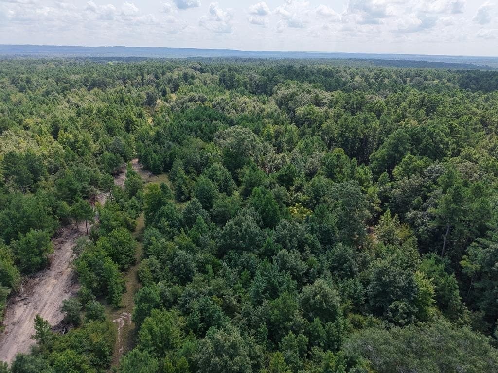 12 acres in ANDERSON County - photo 26