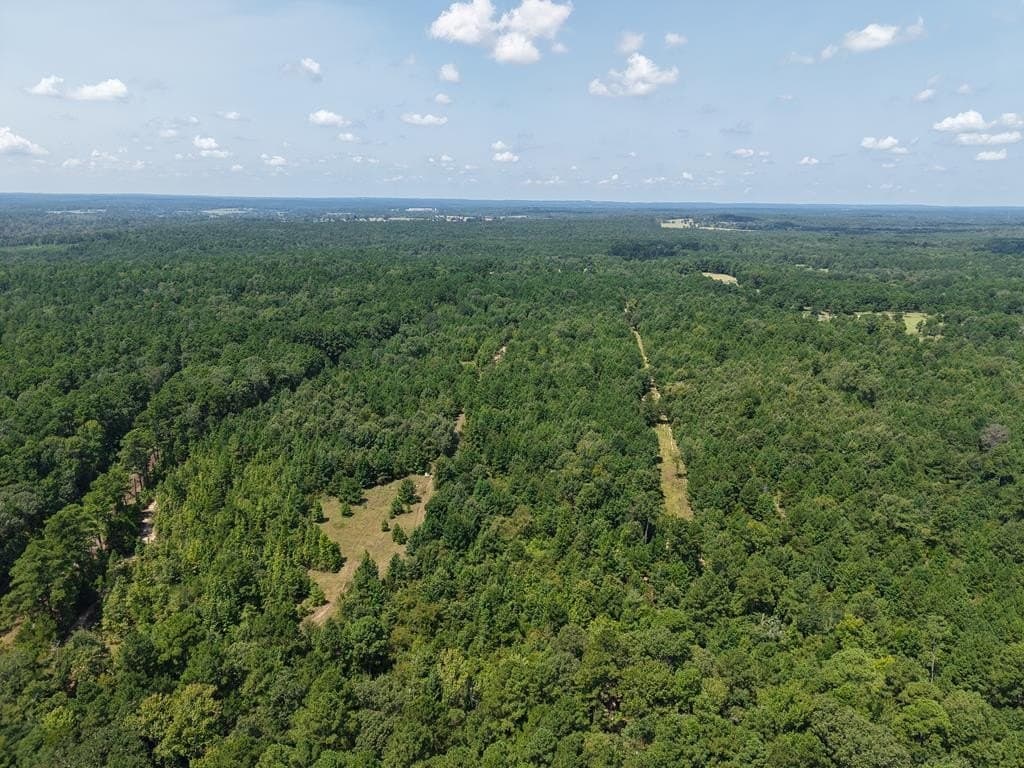 12 acres in ANDERSON County - photo 10