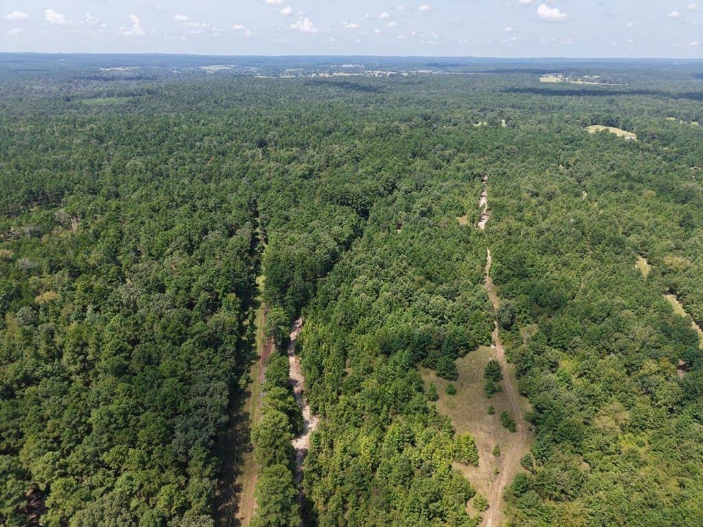12 acres in ANDERSON County - photo 2