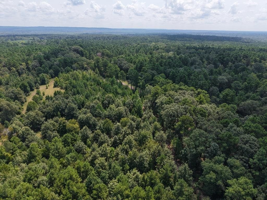 12 acres in ANDERSON County - photo 28