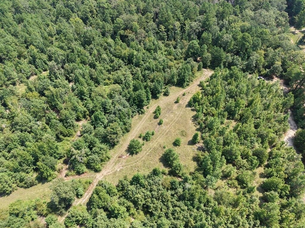 12 acres in ANDERSON County - photo 31