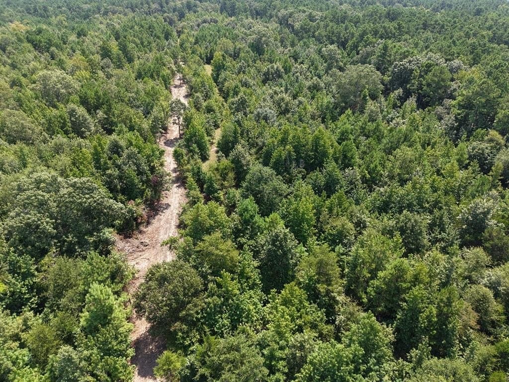 12 acres in ANDERSON County - photo 4