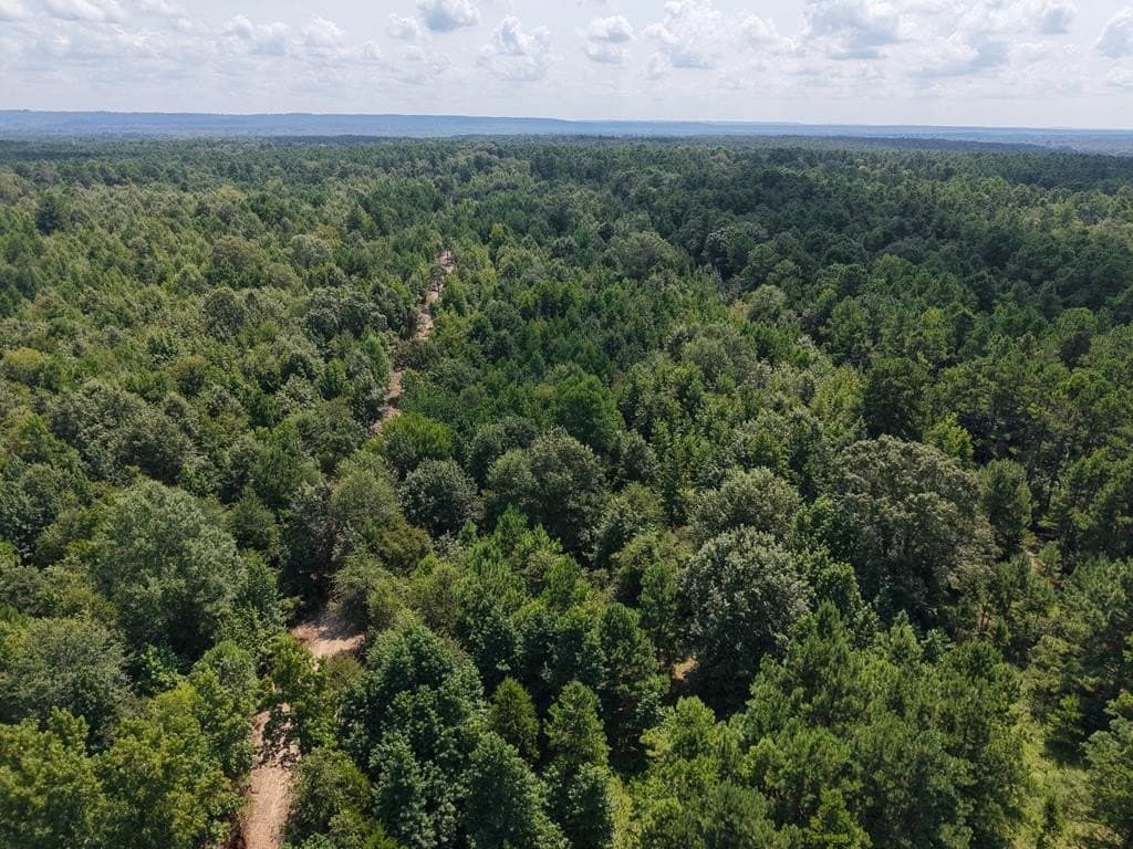 12 acres in ANDERSON County - photo 13
