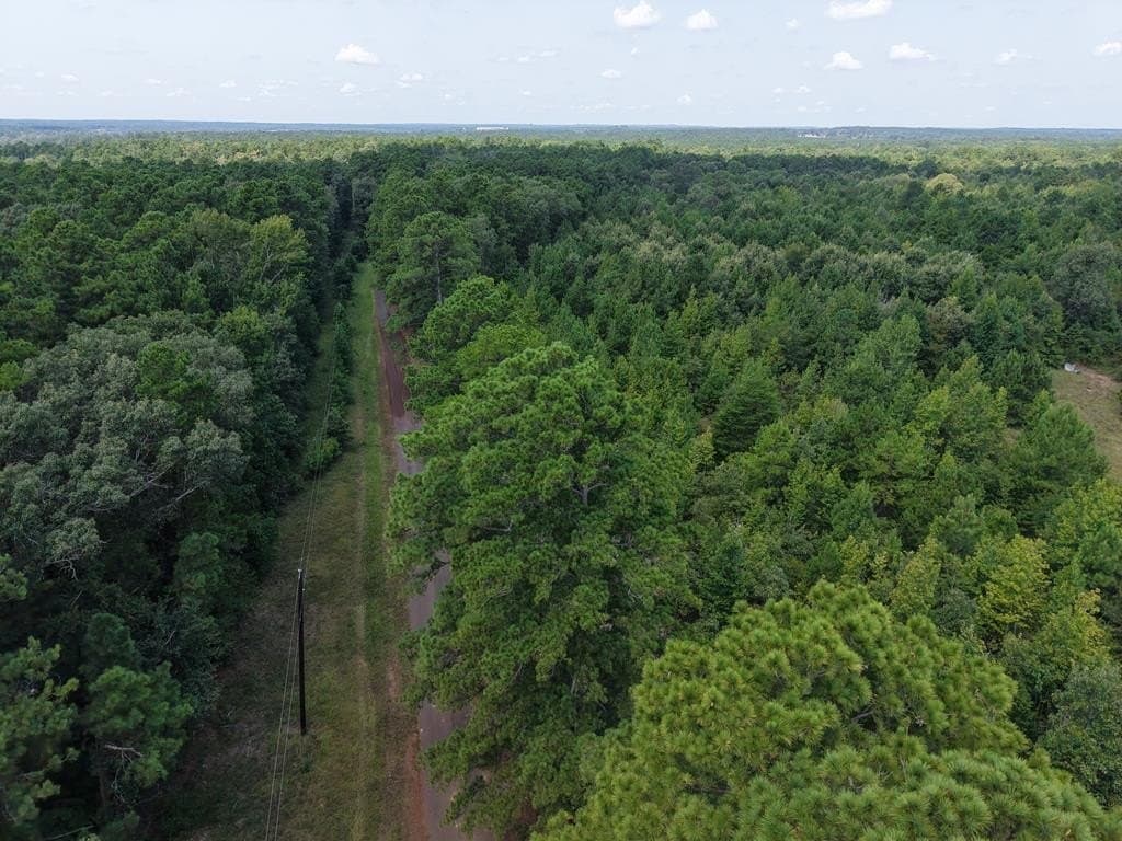 12 acres in ANDERSON County - photo 17
