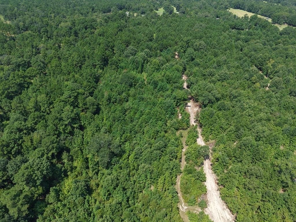 12 acres in ANDERSON County - photo 22