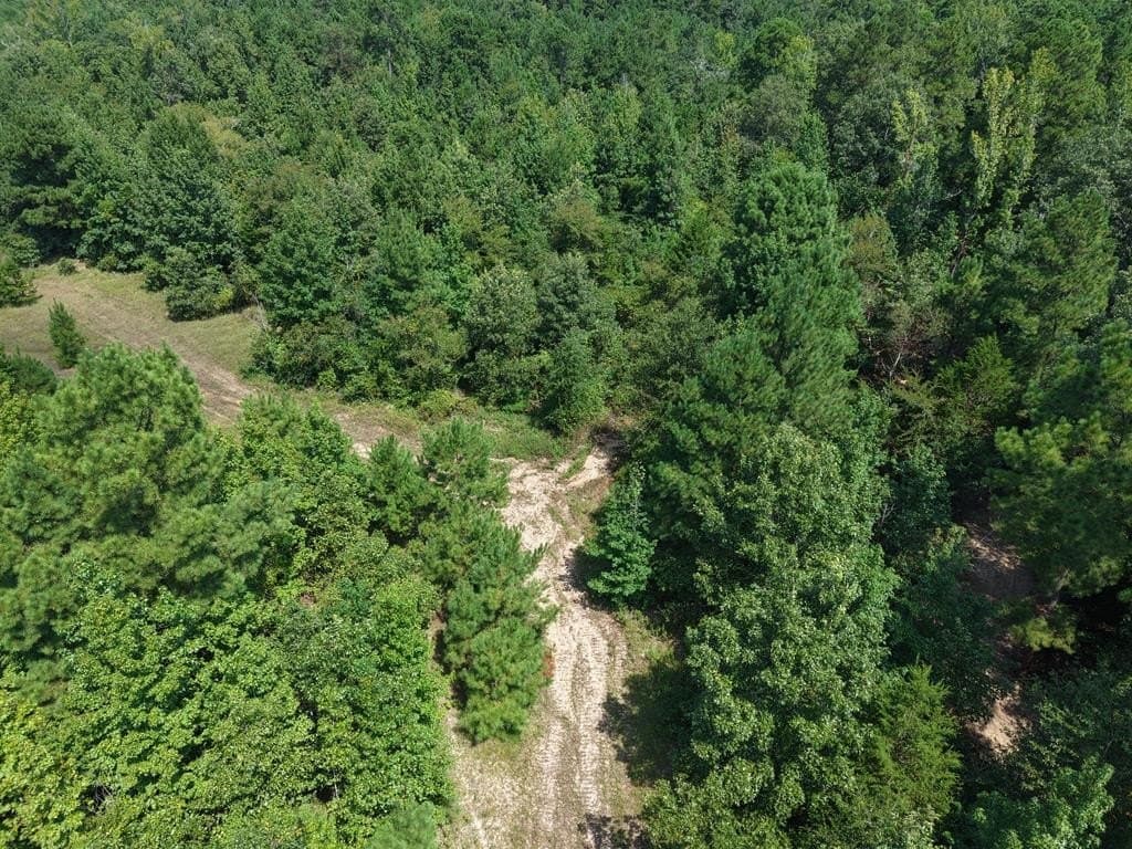 12 acres in ANDERSON County - photo 5