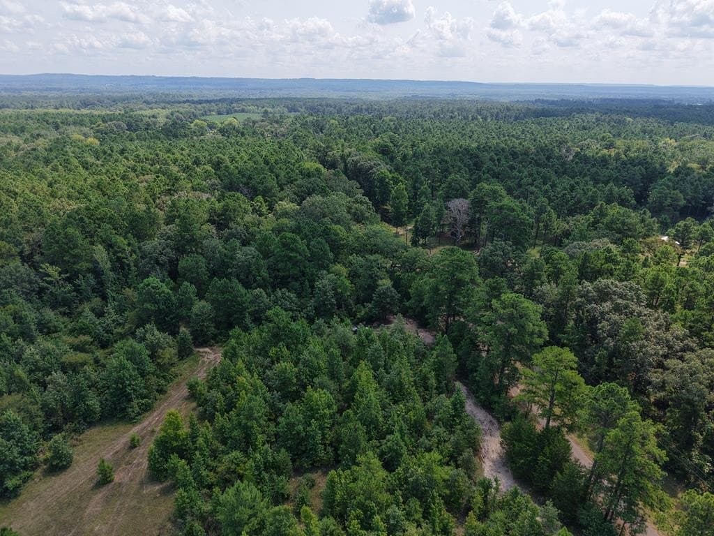 12 acres in ANDERSON County - photo 29