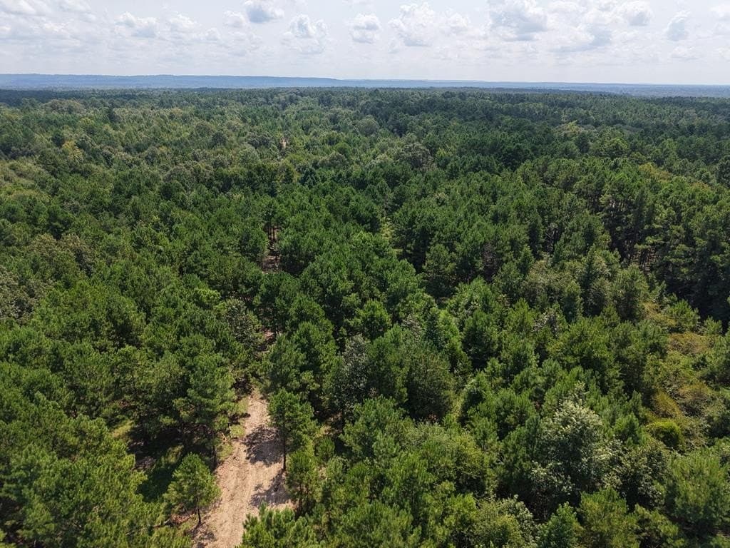12 acres in ANDERSON County - photo 6