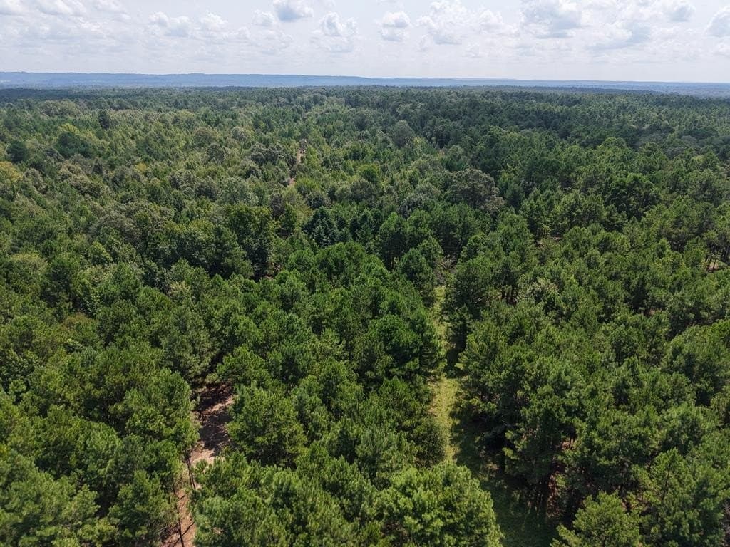 12 acres in ANDERSON County - photo 25