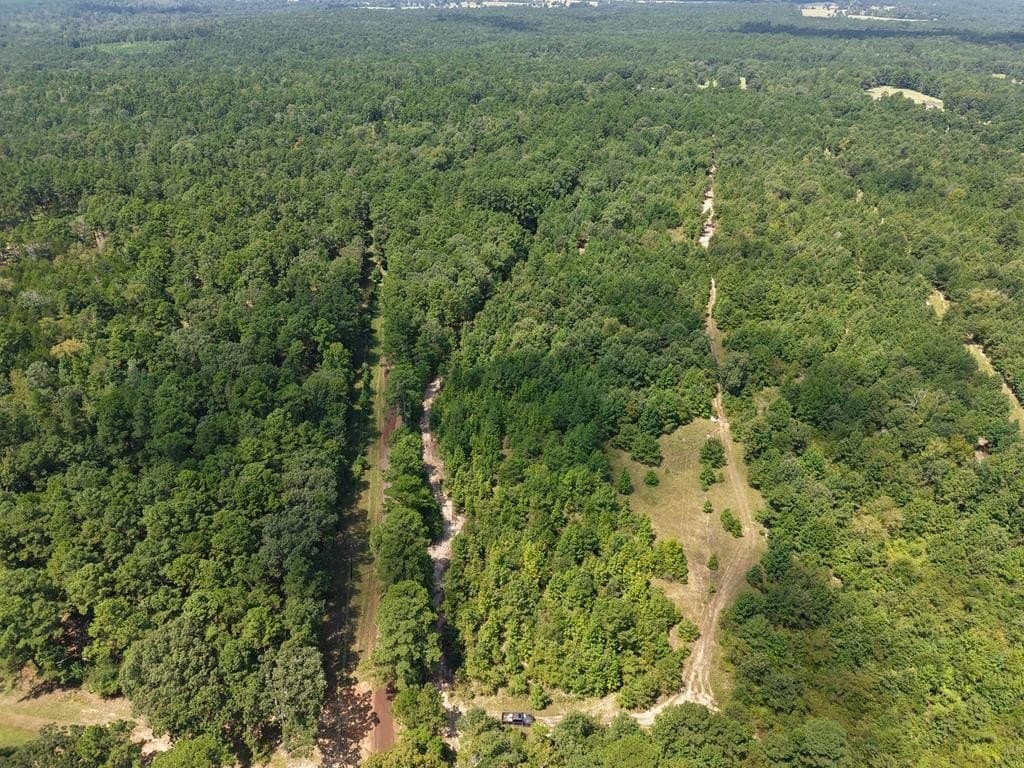12 acres in ANDERSON County - photo 19