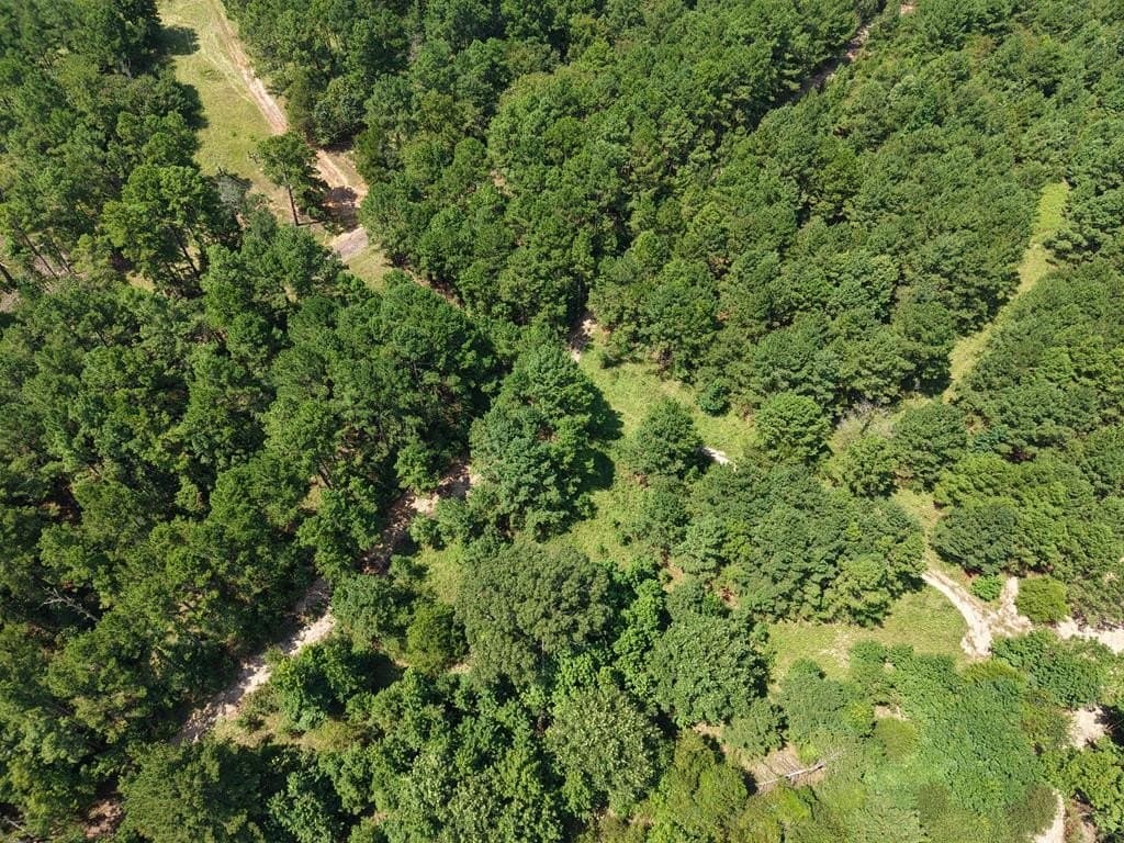 12 acres in ANDERSON County - photo 12