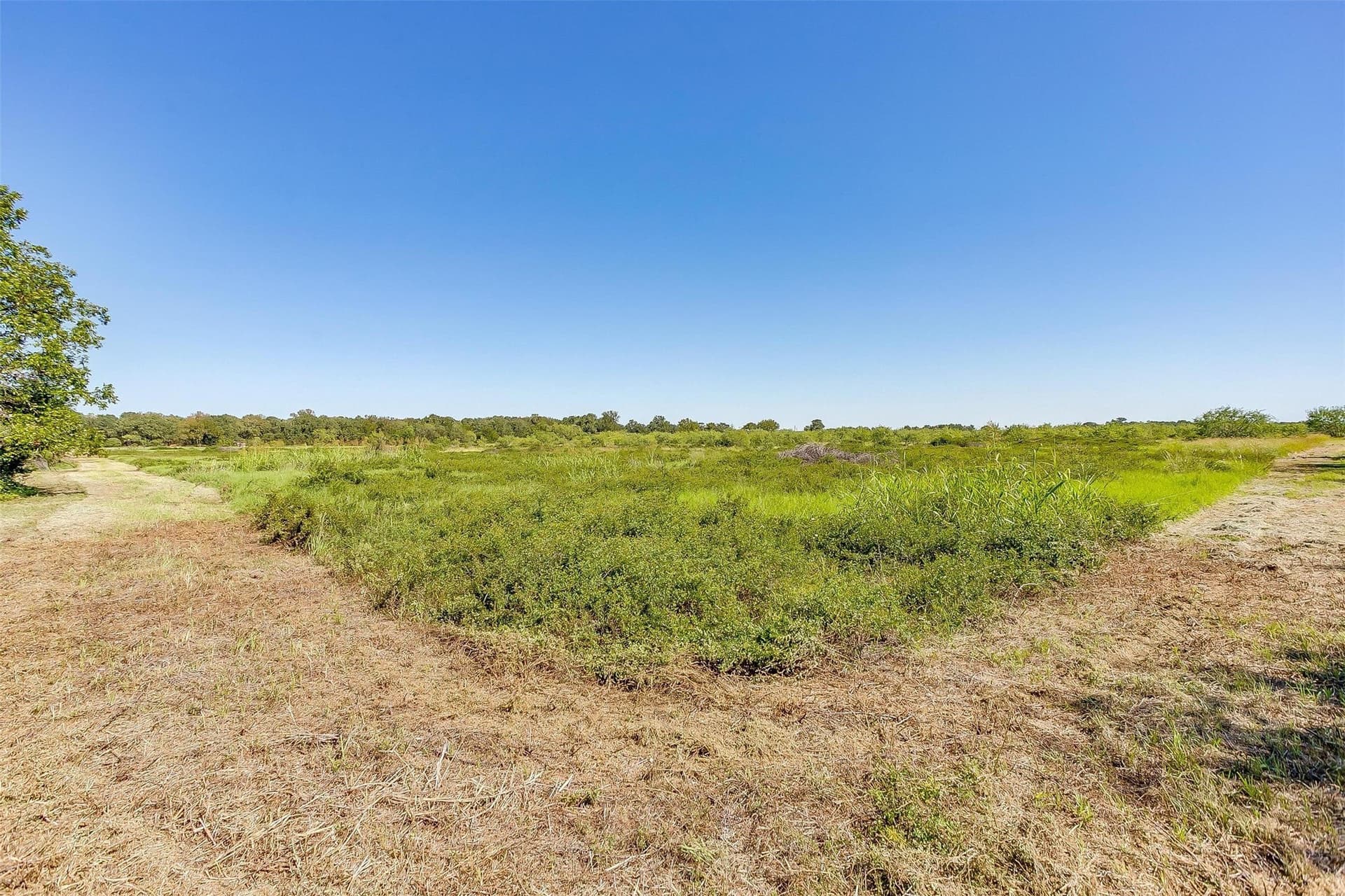 5.46 acres in Johnson County - photo 15