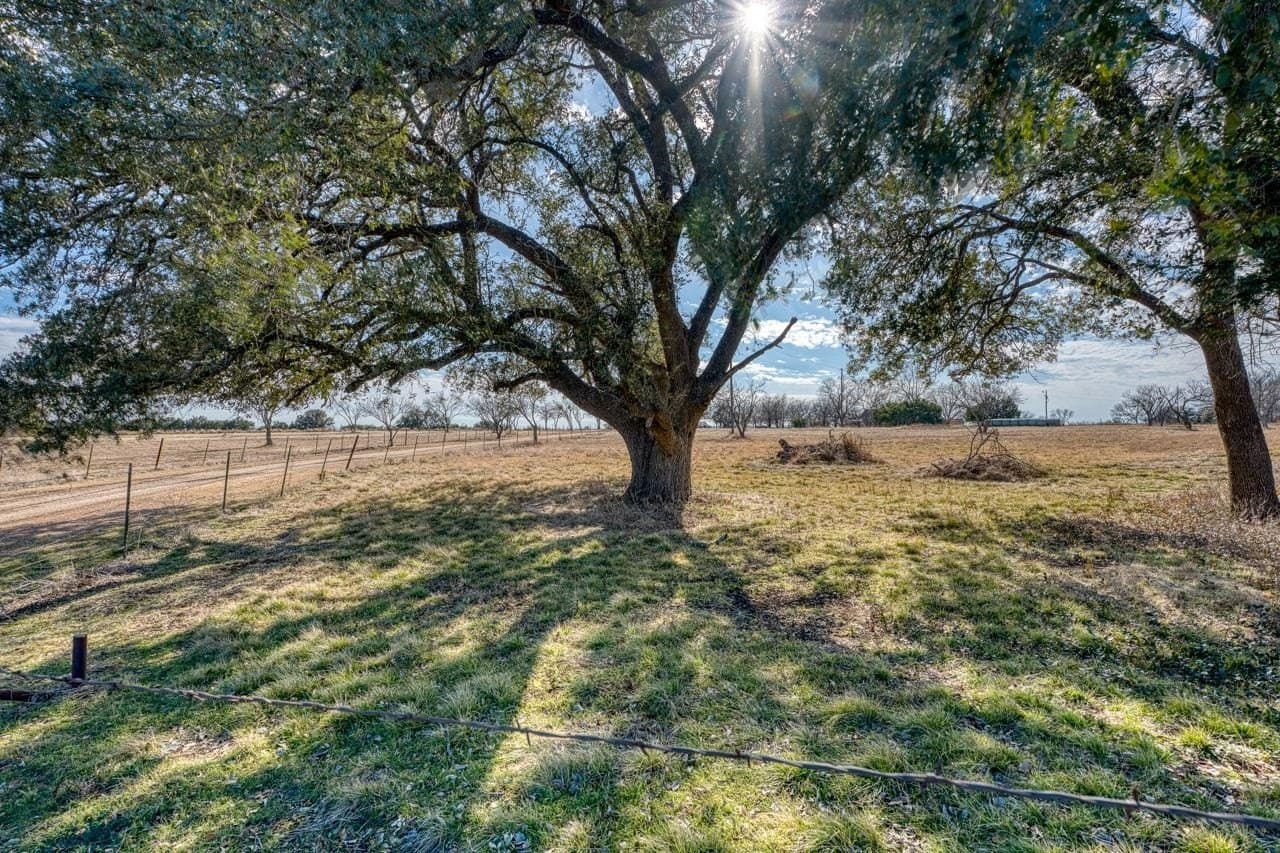 80.54 acres in Burnet County - photo 26