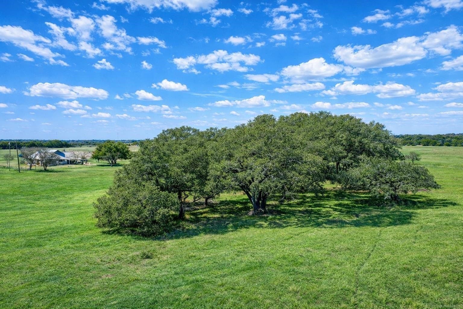 80.54 acres in Burnet County - photo 27