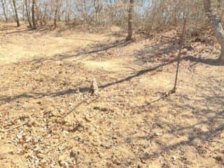 45.16 acres in Eastland County - photo 15