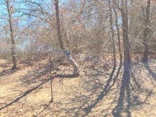 45.16 acres in Eastland County - photo 7