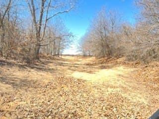45.16 acres in Eastland County - photo 8