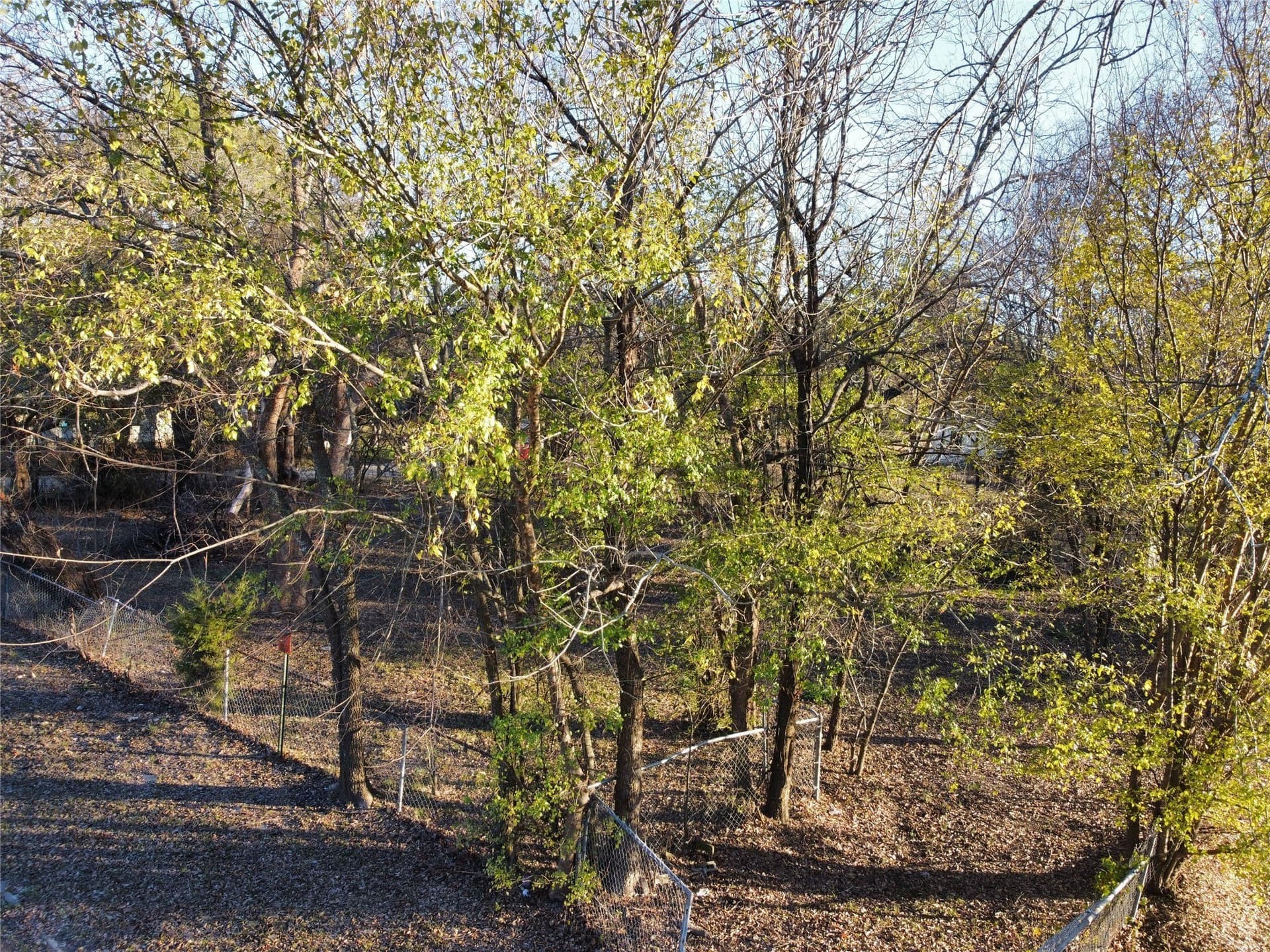 0.25 acres in Delta County - photo 3