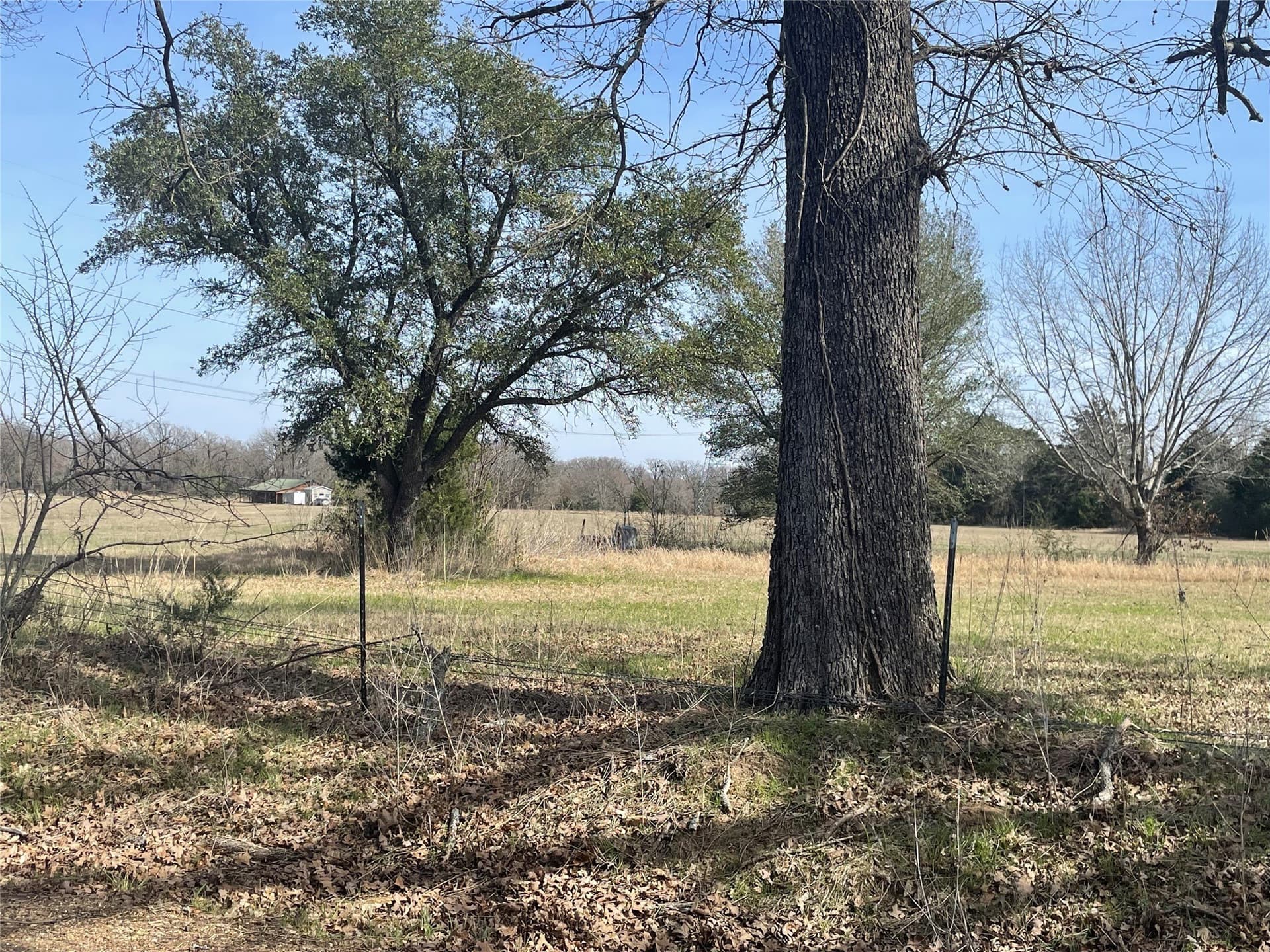 14.46 acres in Van Zandt County gallery image 3
