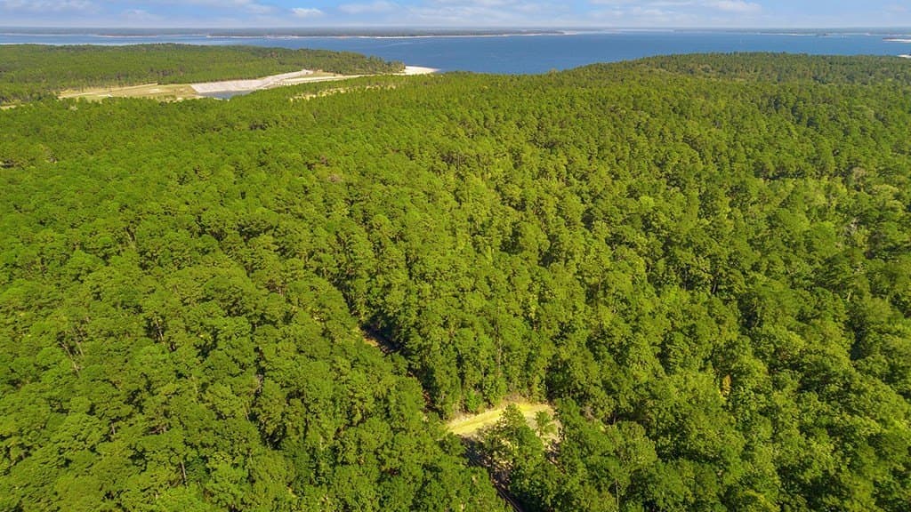 1 acres in Texas County gallery image 3