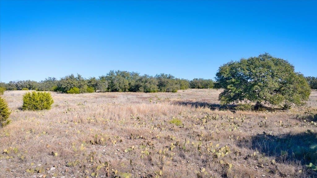 50 acres in Mason County - photo 9