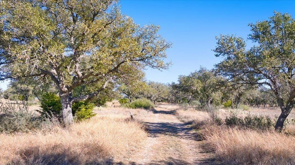 50 acres in Mason County gallery image 4