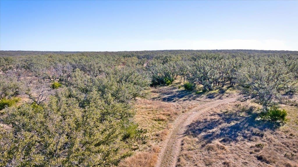 50 acres in Mason County - photo 29