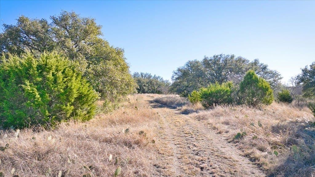 50 acres in Mason County - photo 8