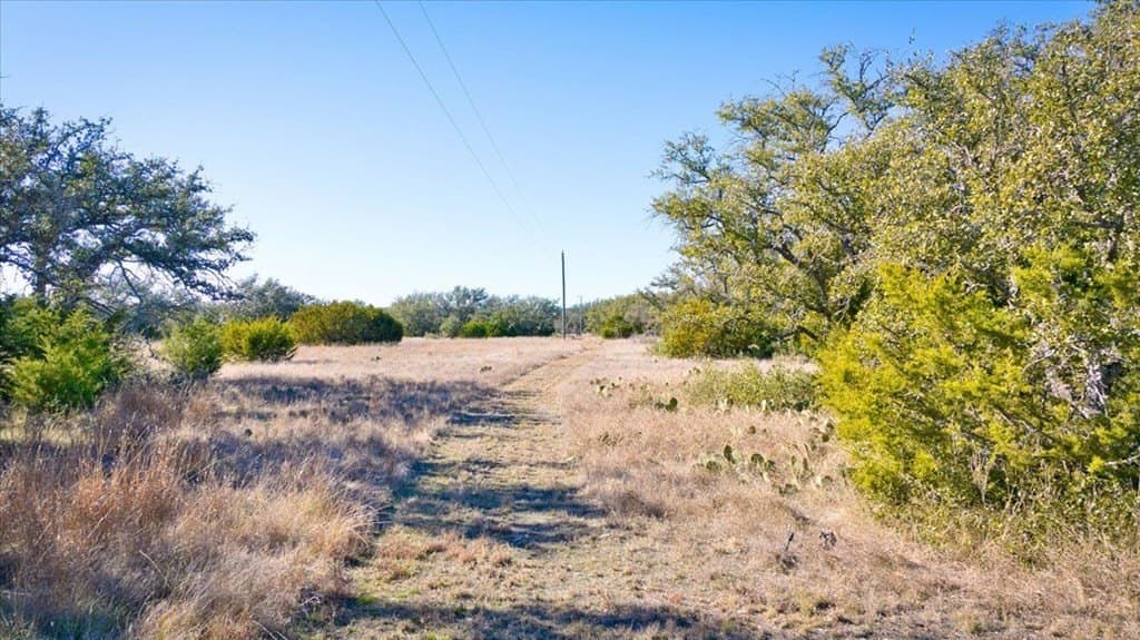 50 acres in Mason County - photo 25