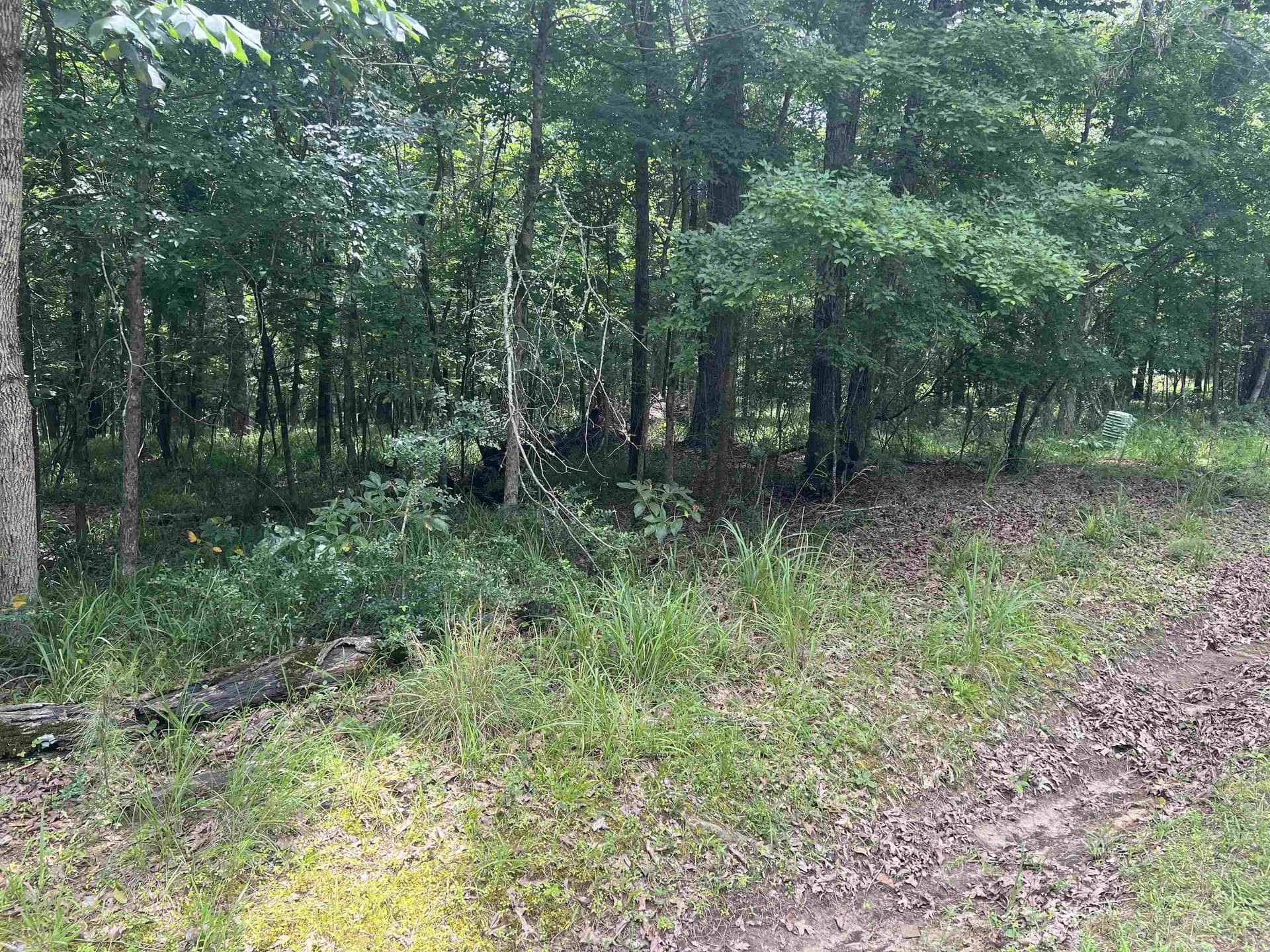0.9 acres in Marion County gallery image 2