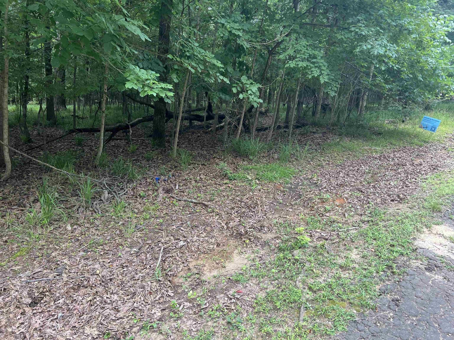 0.9 acres in Marion County gallery image 3