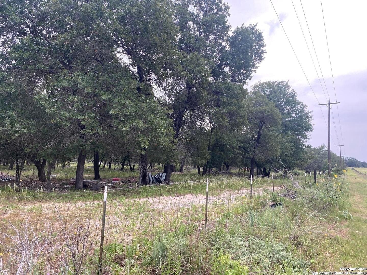 10 acres in Atascosa County - photo 7