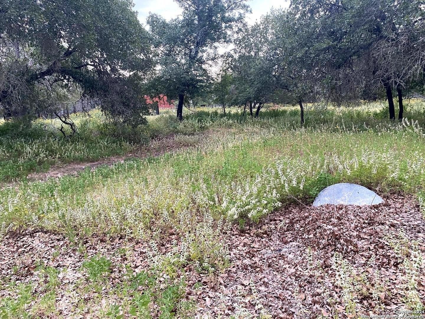 10 acres in Atascosa County - photo 14