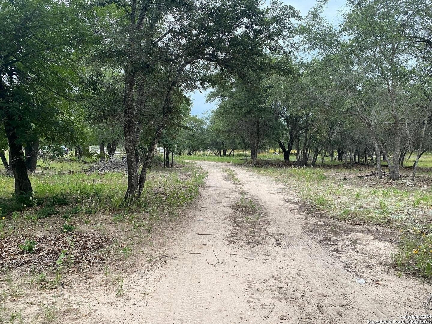 10 acres in Atascosa County - photo 9