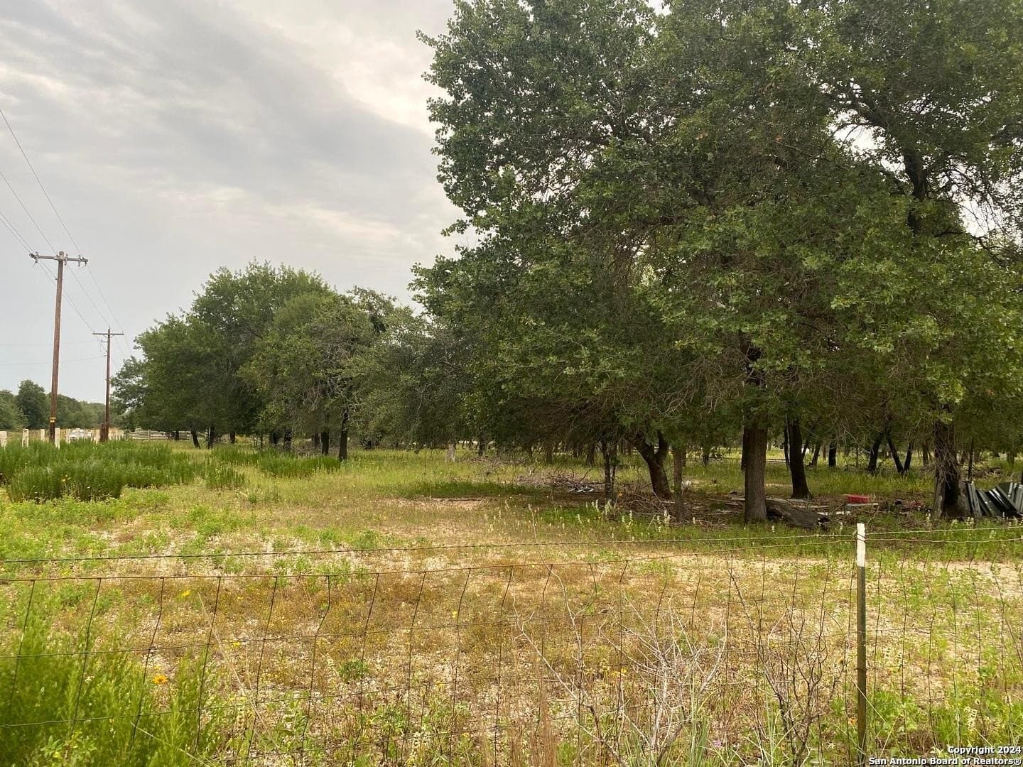 10 acres in Atascosa County - photo 6