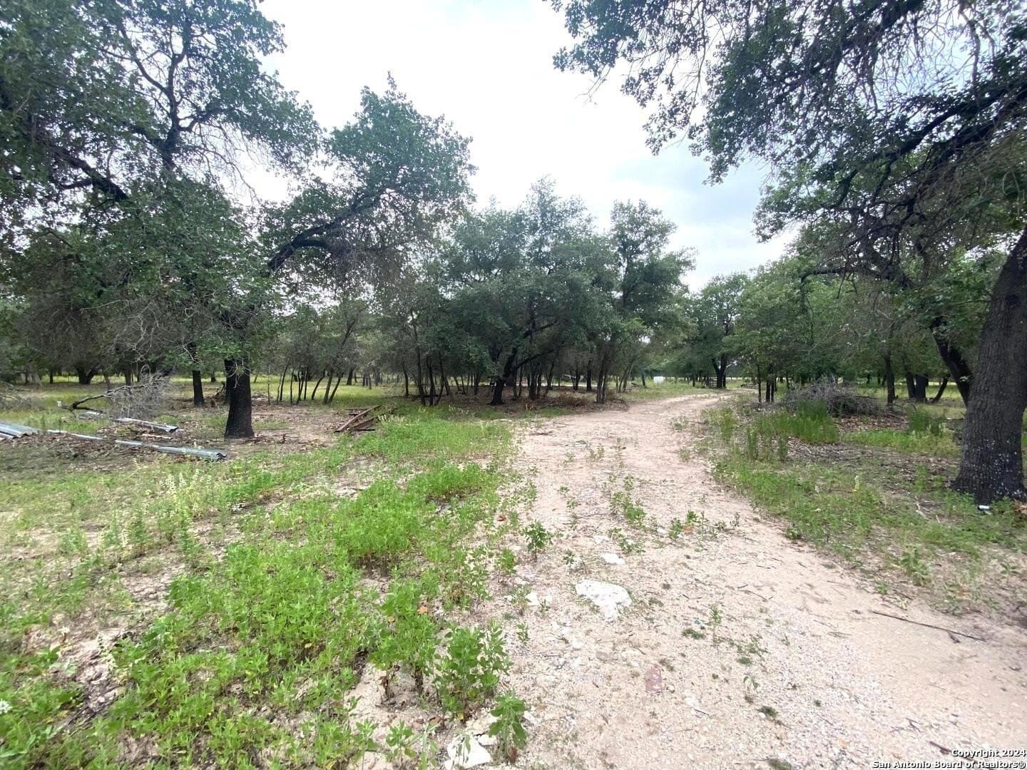 10 acres in Atascosa County gallery image 3
