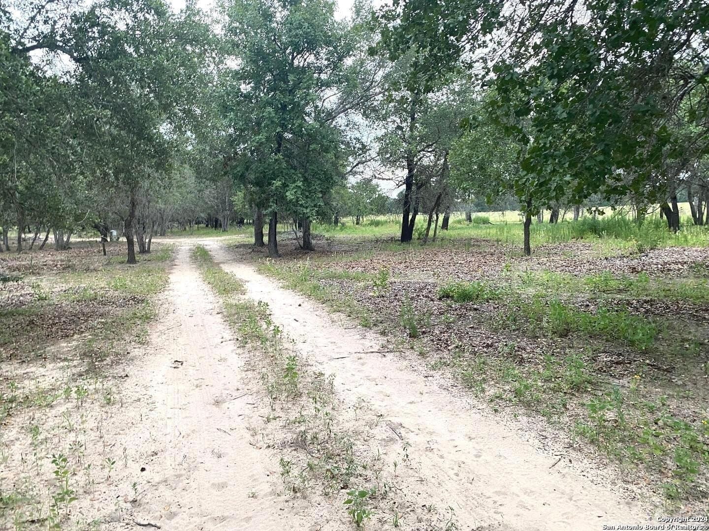 10 acres in Atascosa County - photo 11