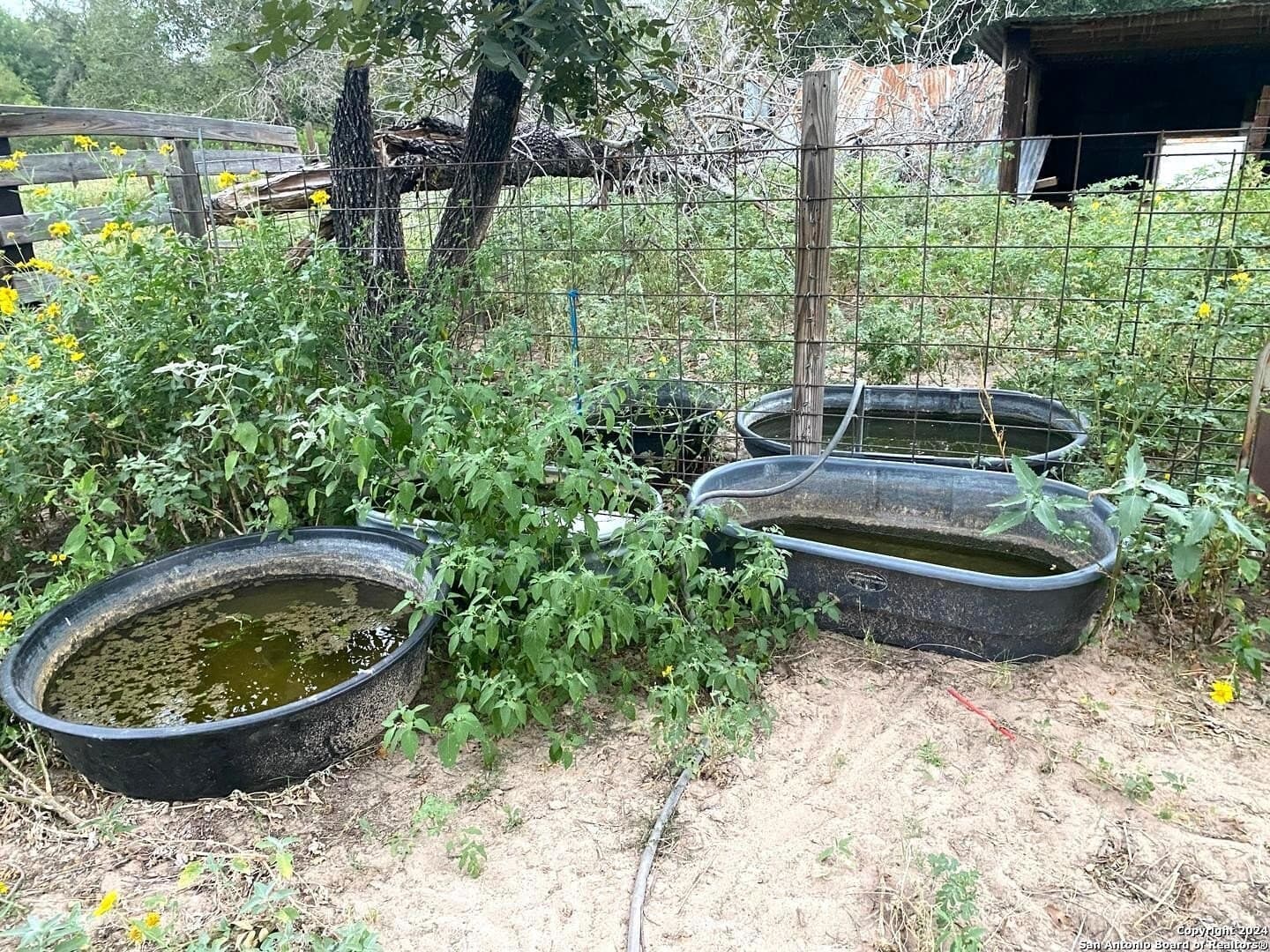 10 acres in Atascosa County - photo 16