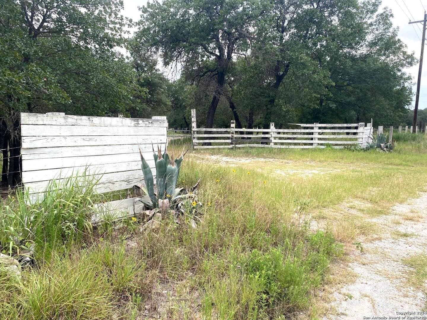 10 acres in Atascosa County featured view