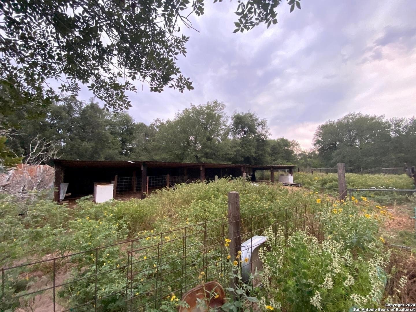 10 acres in Atascosa County - photo 17