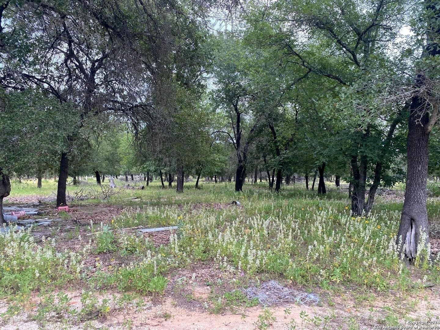 10 acres in Atascosa County - photo 8